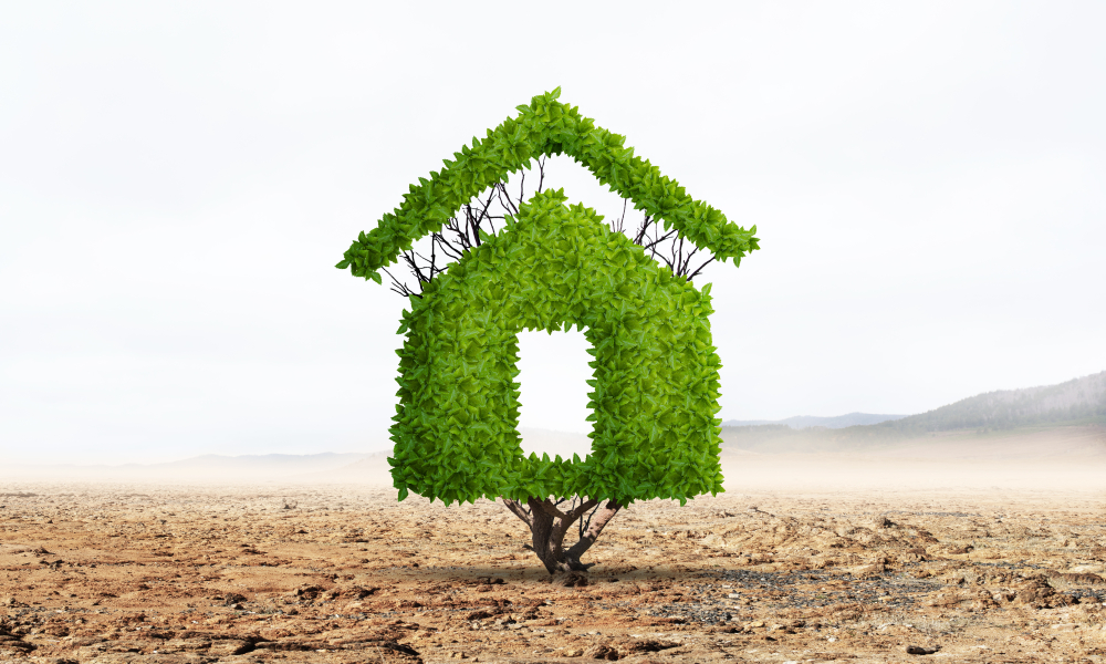 Rénovation écologique : comment rendre votre maison plus durable